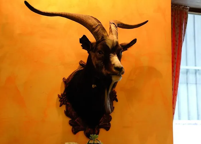 Gaisbock Der Dorfurlaub * فيشن